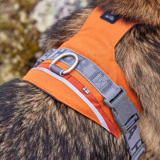 NOVINKY JSOU SKLADEM 🥳 První si posvítíme na nový typ postroje ROVER - polstrovaný postroj, který umožňuje nastavení délky...