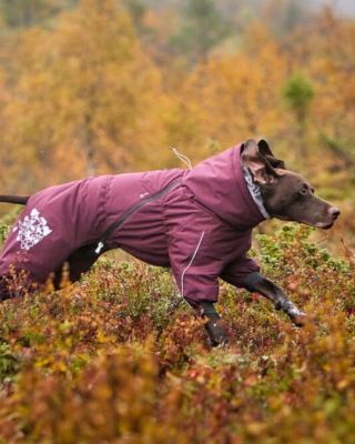 Náš nejteplejší overal v novém - lilkovém provedení 🤩 Hurtta Extreme overall lilkový 👉 kryje všechny svalové skupiny - je...