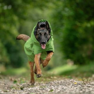 Expedition Parka II petrželová ♥️♥️♥️🍀 Naše ambassadorka @dogteam_bab nám právě zaslala várku nových fotek. Foceno na 8mi...