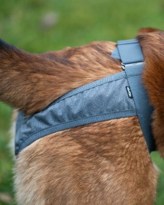 Hárací kalhotky Breezy Pants ECO jsou inovovanou verzí osvětšeného černého modelu loňských let. 👉minimalistický design...